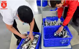 Hàng nghìn người hiến máu tại Lễ hội Xuân hồng 2018